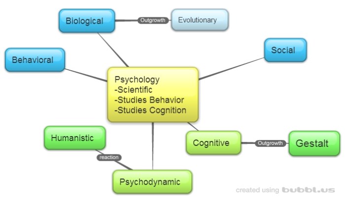 Ap psychology unit 1 vocab