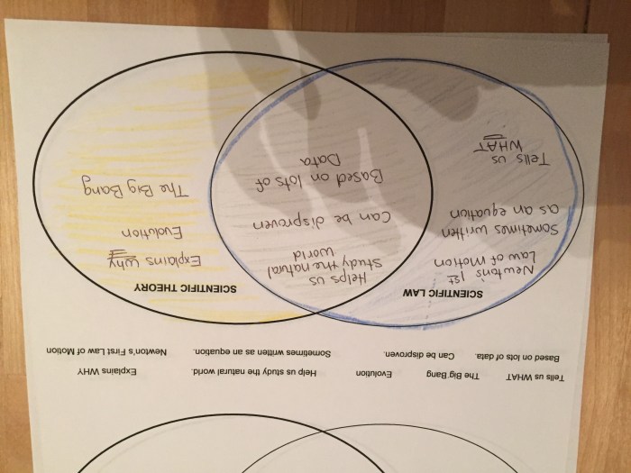 Theory and law venn diagram