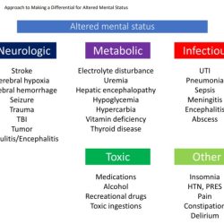 The mental status that best fits anaphylaxis is